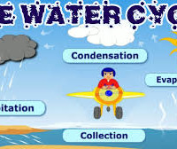 water cycle