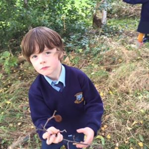 Jack found a pine cone