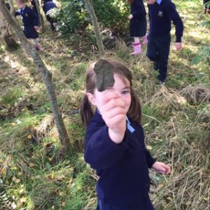 Méabh found a leaf 