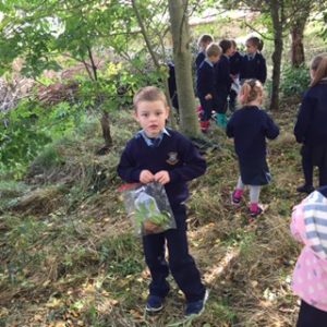 Liam has collected a bad full of autumn leaves, twigs and even twigs!