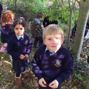 Cathal found a pine cone!