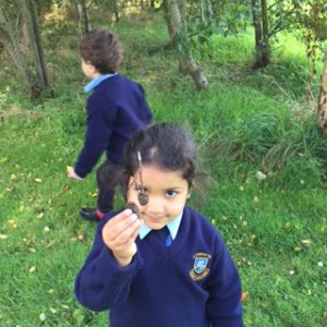 Mariam found some pine cones!